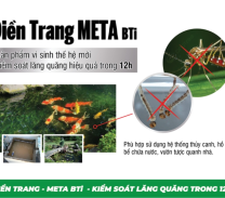 NHÀ CÓ NHIỀU NƯỚC ĐỌNG – CẨN THẬN LĂNG QUĂNG
