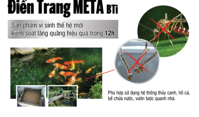 NHÀ CÓ NHIỀU NƯỚC ĐỌNG – CẨN THẬN LĂNG QUĂNG