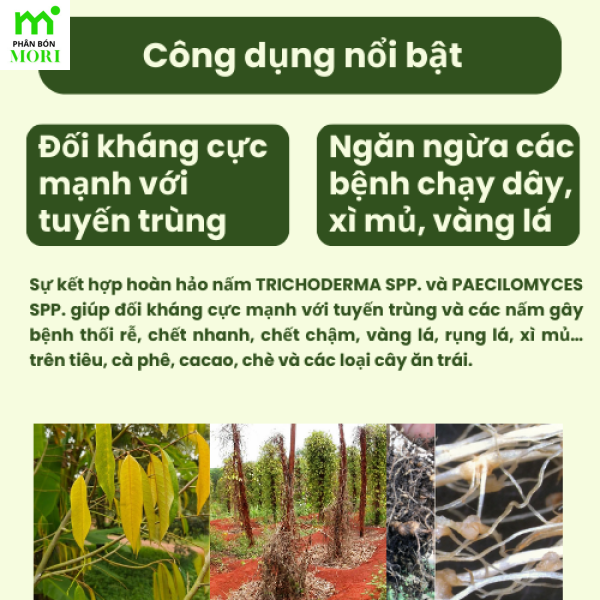 TRICHO NEMA Điền Trang 500g – Vi Sinh Tuyến Trùng, Thối Rễ