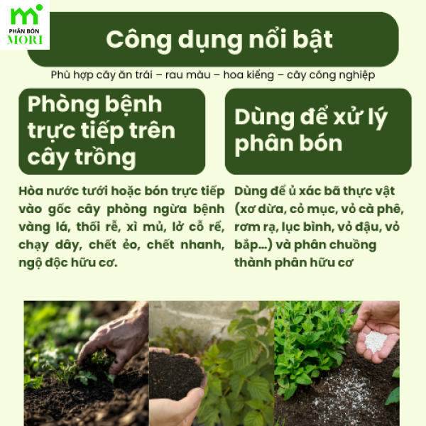 Men trichoderma Điền Trang 1kg