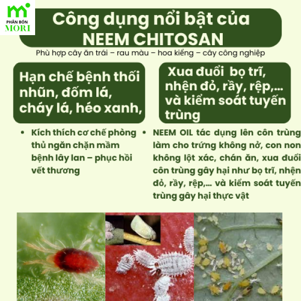 Bám dính Neem chito 500ml