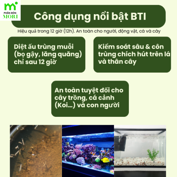 PHÂN VI SINH ĐIỀN TRANG-META BTi 100ml Bí Quyết Kiểm Soát Lăng Quăng Trong 12 Giờ