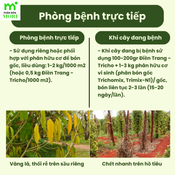 Men trichoderma Điền Trang 1kg