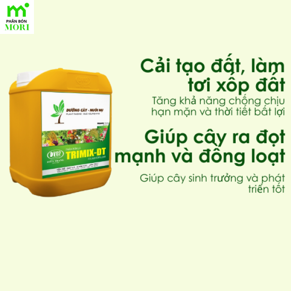 Can siêu dưỡngTRIMIX-DT CAQ 5L tốt lá dày nụ lớn trái