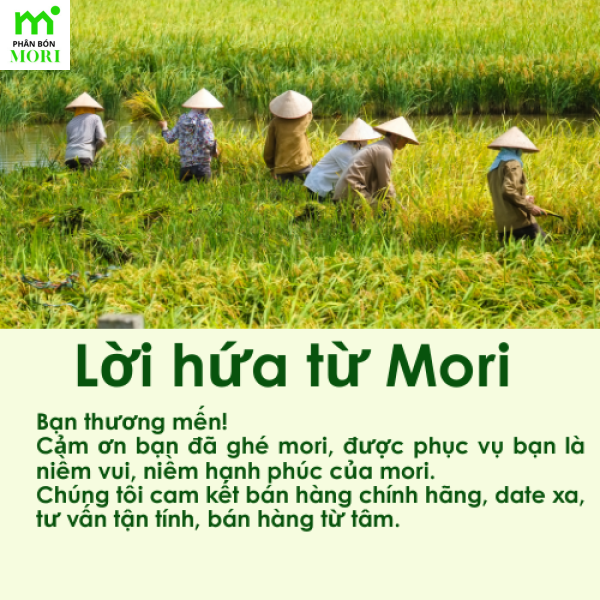 Can siêu dưỡng TRIMIX HONEY 5L