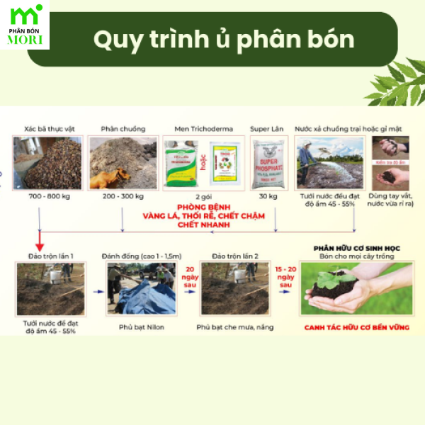 Men trichoderma Điền Trang 1kg