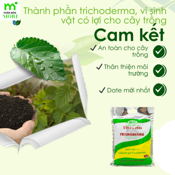 Men trichoderma Điền Trang 1kg